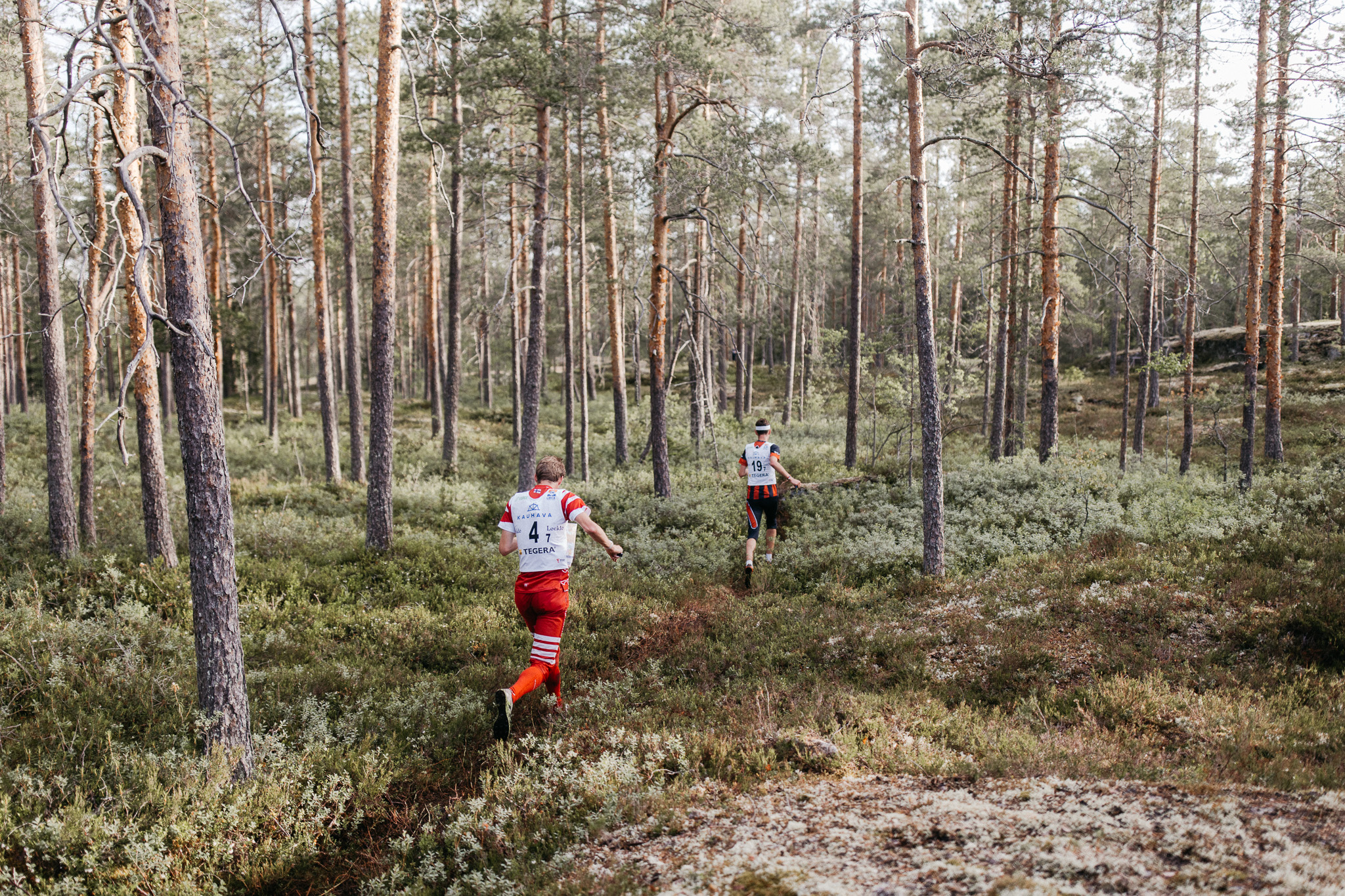 Kaksi urheiluvarusteisiin ja numeroituihin liiveihin pukeutunutta ihmistä juoksee tiheän metsän läpi, jossa on korkeita puita ja vihreää aluskasvillisuutta, osallistuen suunnistustapahtumaan.