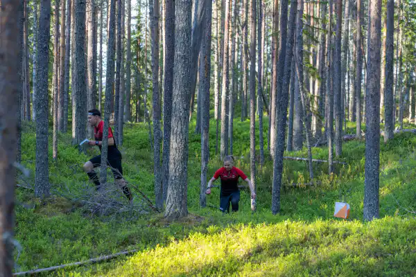 Kaksi punapaitaista ihmistä juoksee tiheän metsän halki karttoja kädessään ja puiden välistä suunnistaen. Heidän edessään maassa näkyy oranssivalkoinen suunnistusmerkki.